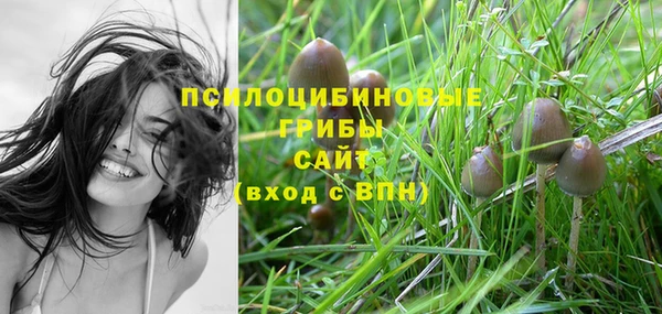 ПСИЛОЦИБИНОВЫЕ ГРИБЫ Коряжма