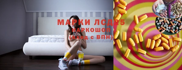 ПСИЛОЦИБИНОВЫЕ ГРИБЫ Коряжма