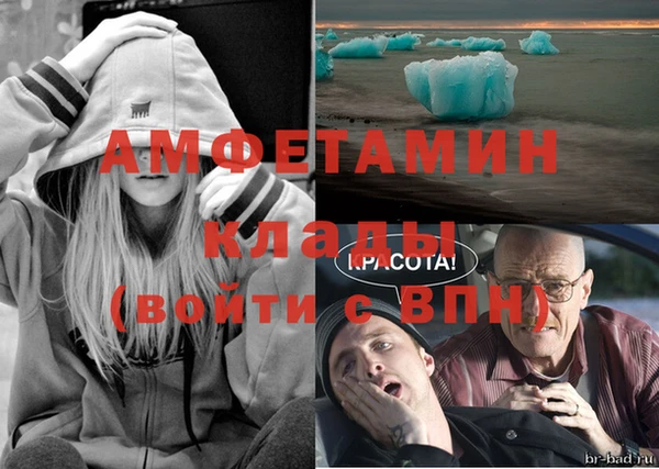 ПСИЛОЦИБИНОВЫЕ ГРИБЫ Коряжма