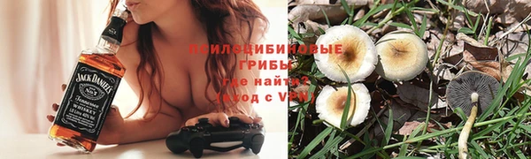 соль ск Корсаков