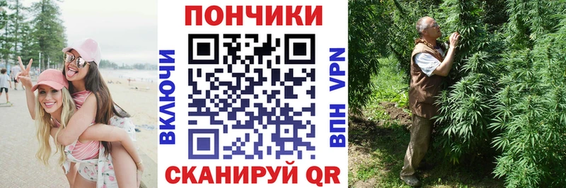 shop состав  Ачхой-Мартан  Бошки марихуана SATIVA & INDICA 